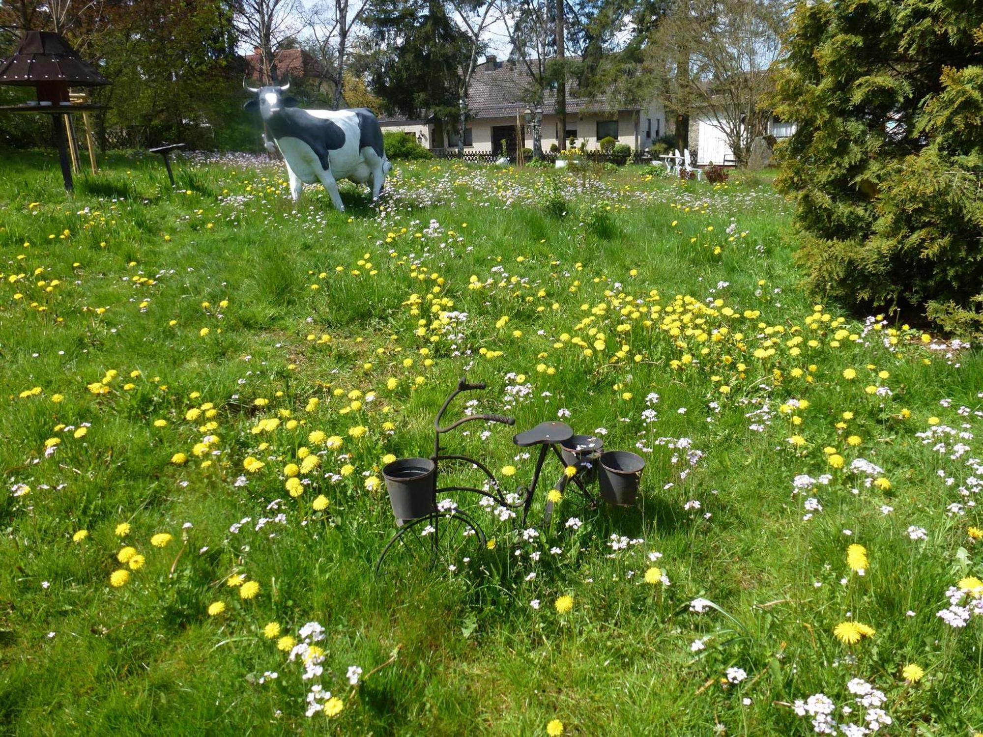 Appartement Land Des Friedens In Nettersheim / Eifel Extérieur photo