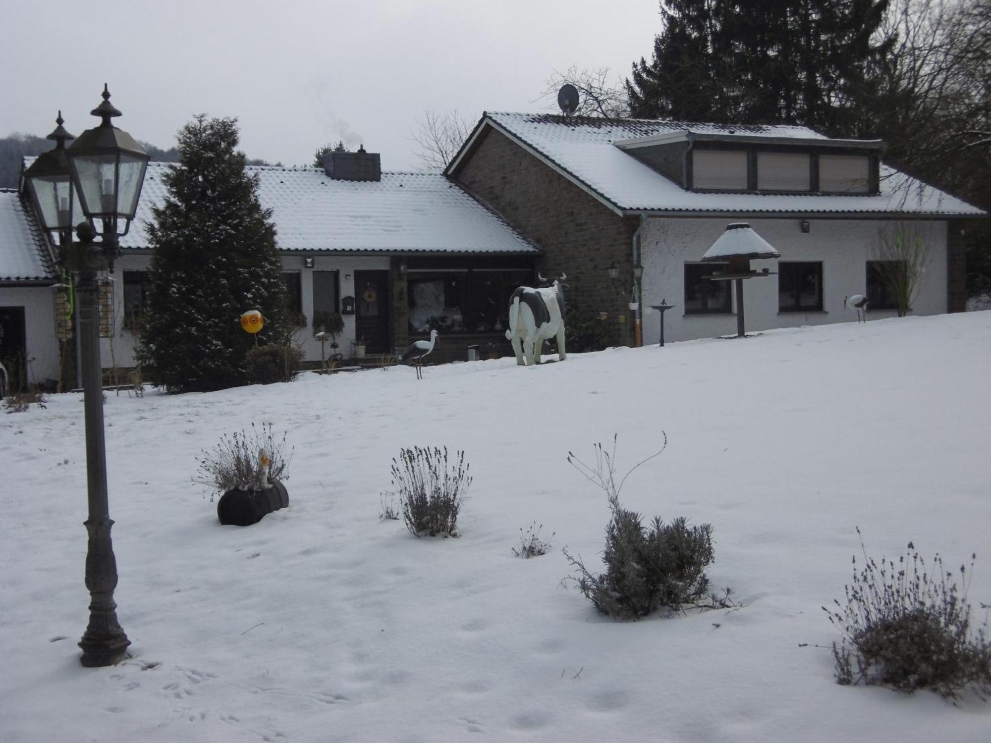 Appartement Land Des Friedens In Nettersheim / Eifel Extérieur photo
